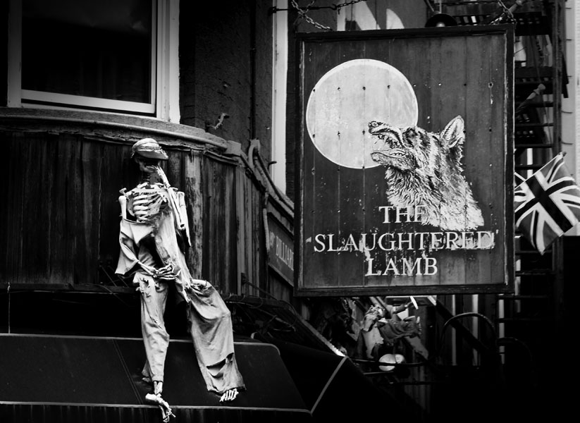 the slaughtered lamb