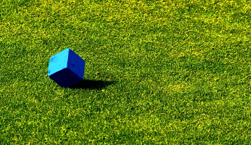 dice on strike on lazily sunbathing grass